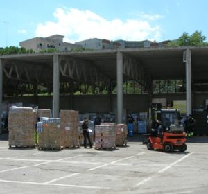 Carrellisti stagionali - Francesco Tortora