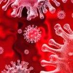Coronavirus e Muletto: rischi e raccomandazioni