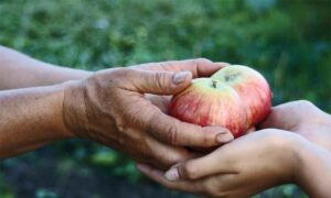 Umiltà per costruire per se stessi e per gli altri